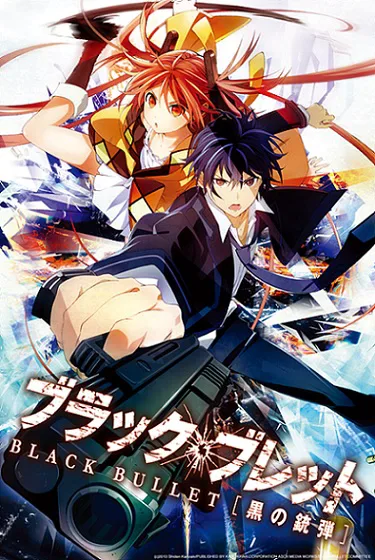 Black Bullet poster